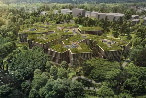 obrázek:Lesy ČR: Nové sídlo v Hradci za 1,5 miliardy, start 2027