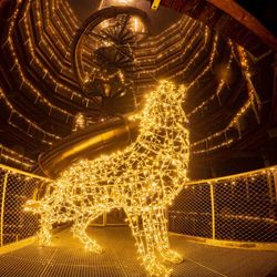 Stezka korunami stromů v Janských Lázních zve na noční prohlídky