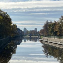 Jaro přinese nové platany na Eliščino nábřeží