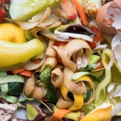 Žacléř bojuje s odpady: Nové kompostéry pro udržitelnou budoucnost