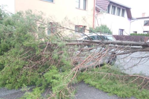 Foto: Bouřky v Královéhradeckém kraji: spadlé stromy, zatopení a evakuace 49 dětí