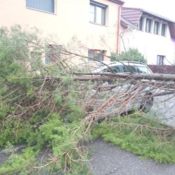 Bouřky v Královéhradeckém kraji: spadlé stromy, zatopení a evakuace 49 dětí