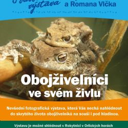 Sýpka zve na podvodní výstavu