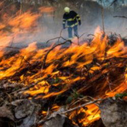 V celém Královéhradeckém kraji platí zákaz rozdělávání ohně ve volné přírodě