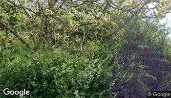 blog-img
