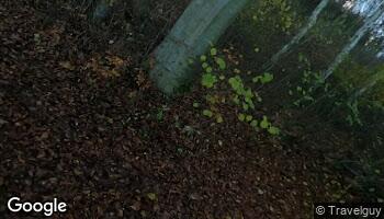 blog-img